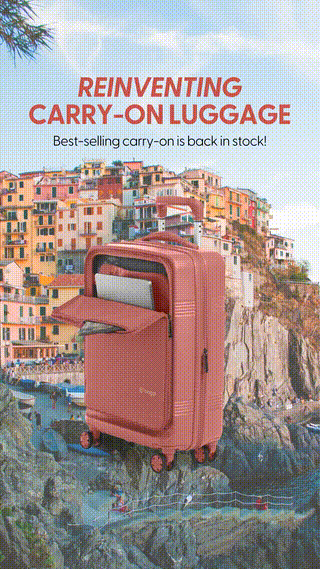 Biaggi Luggage top-performing Meta ad creative