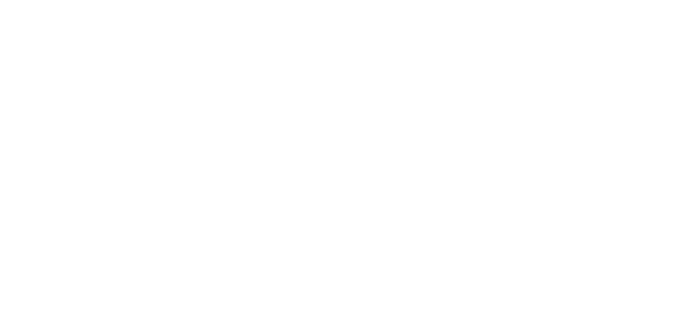 Hey Dewy logo
