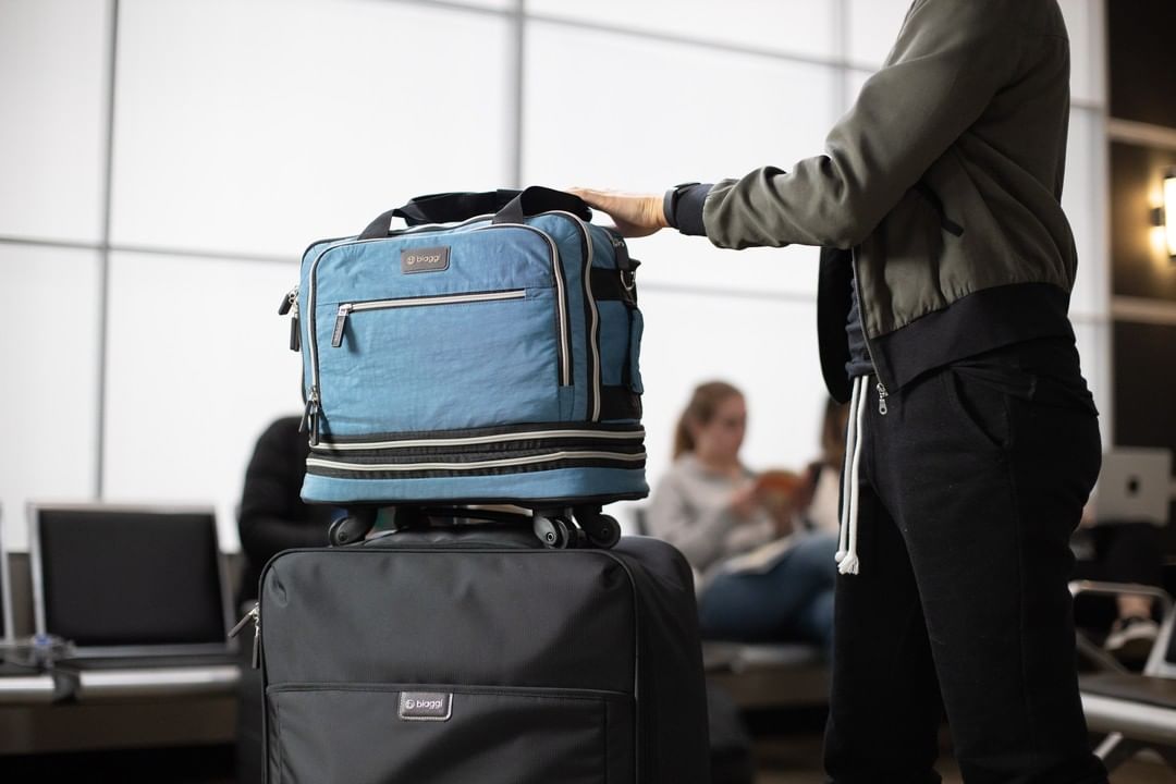 Biaggi Luggage Meta Ads case study — 58% revenue growth YoY